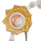 Wonderlands Collection