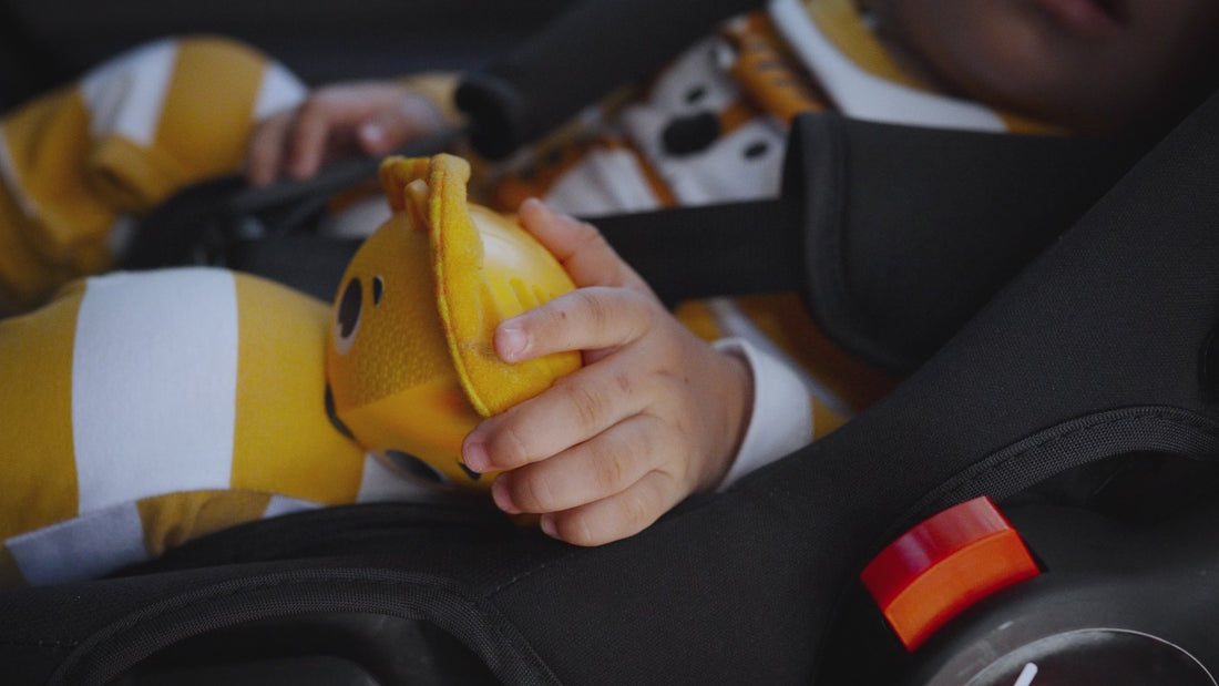 Vídeo - Carrinho Prestige