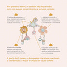 Wonderlands Collection