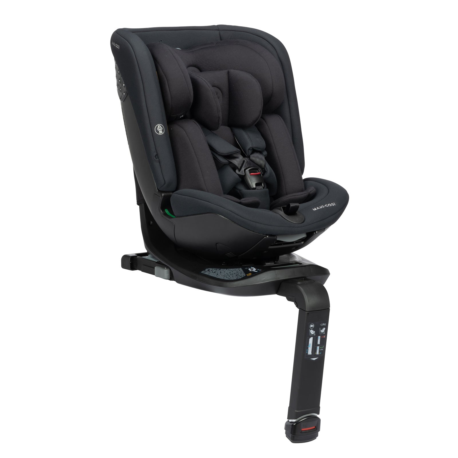 Authentic Black - IMP02497